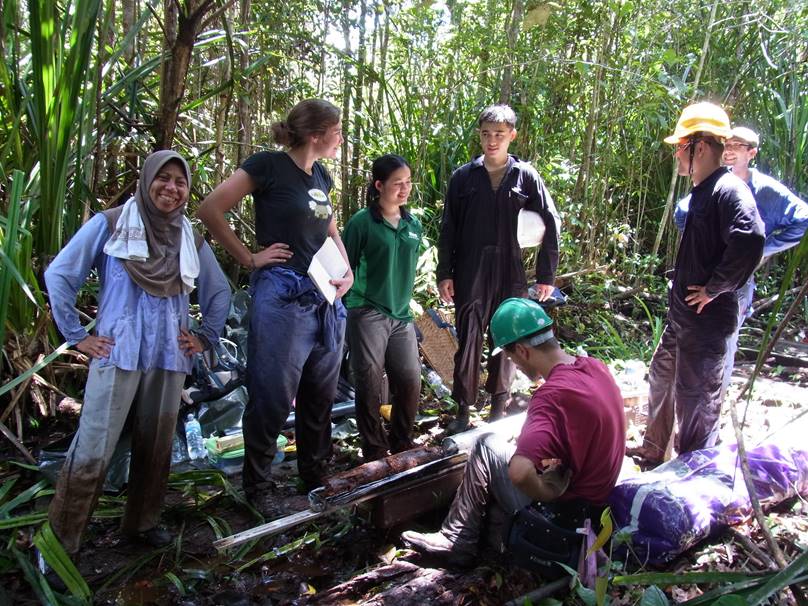 Harvey Tropical Peat Swamp Research 