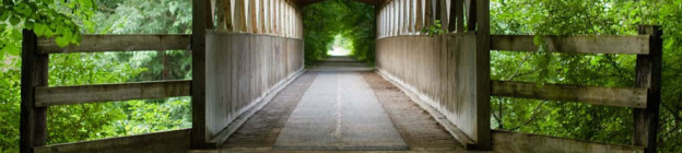 bridge